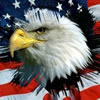 Amerithrive